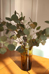 Handblown moroccan beldi vase in bronze holding eucalyptus branches on top of a table.